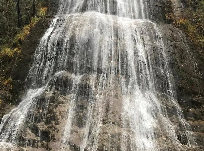 Il Bosco - A Pochi Minuti Dagli Impianti Di Risalita Апартаменты Ballabio