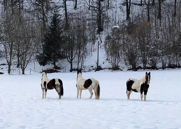 Апартаменты Il Bosco - A Pochi Minuti Dagli Impianti Di Risalita Ballabio