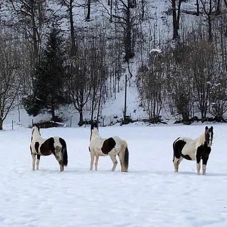 דירה Il Bosco - A Pochi Minuti Dagli Impianti Di Risalita Ballabio
