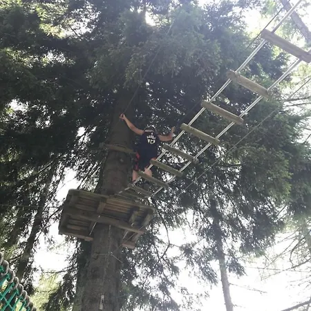 Il Bosco - A Pochi Minuti Dagli Impianti Di Risalita * Ballabio